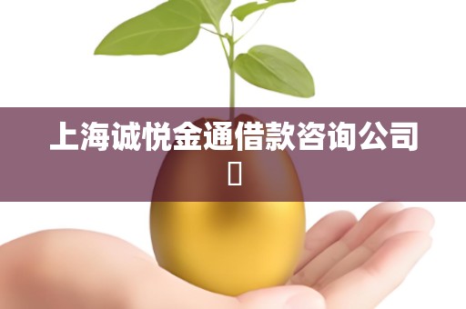 上海诚悦金通借款咨询公司​