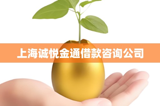 上海诚悦金通借款咨询公司
