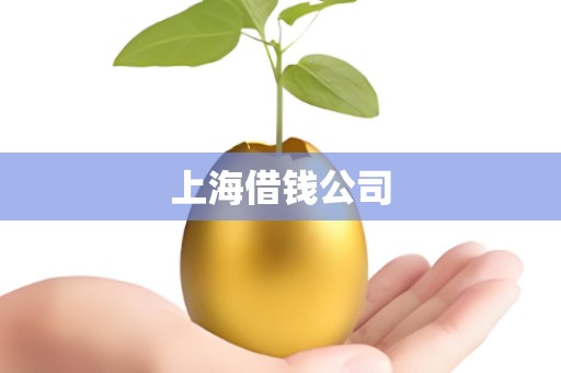 上海借钱公司 上海借钱公司