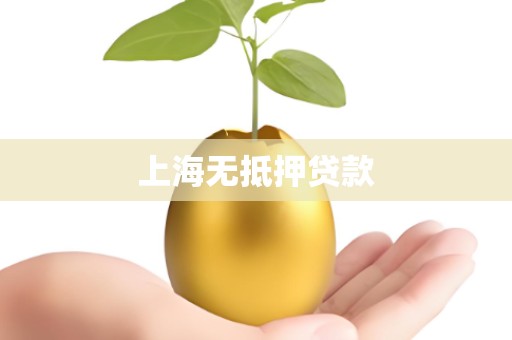 上海无抵押贷款