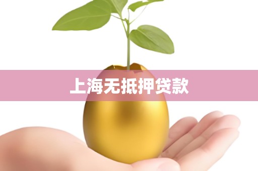 上海无抵押贷款