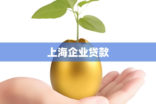 上海企业贷款