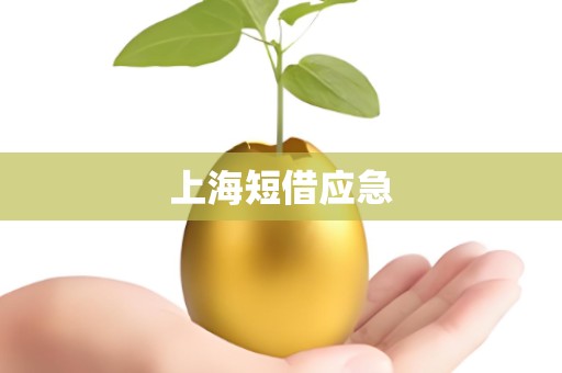 上海短借应急