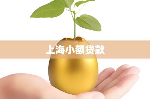 上海小额贷款